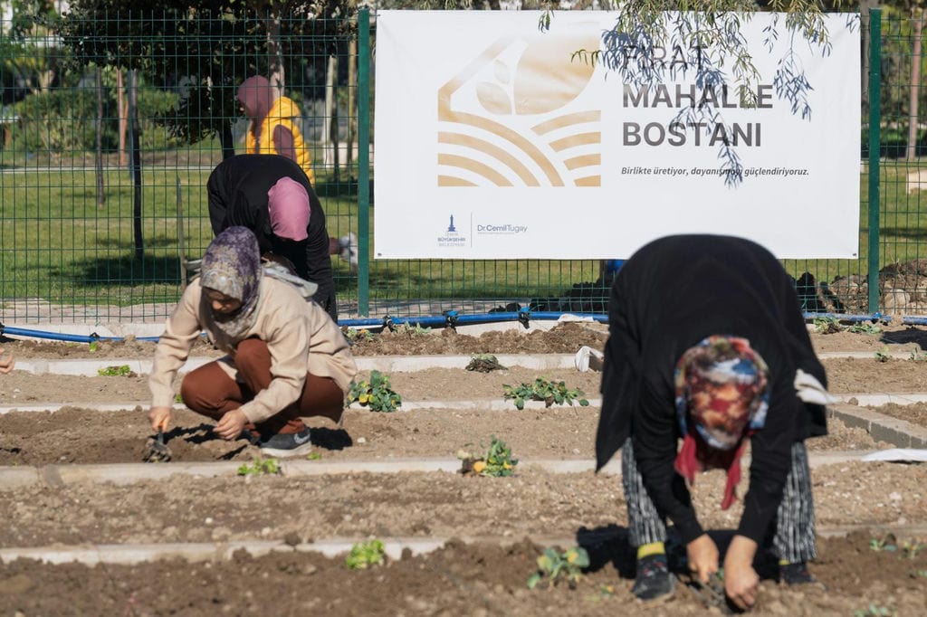 17.11.2025 D4B1C74F E6E3 4188 93Ba 074D17Ad3C3E