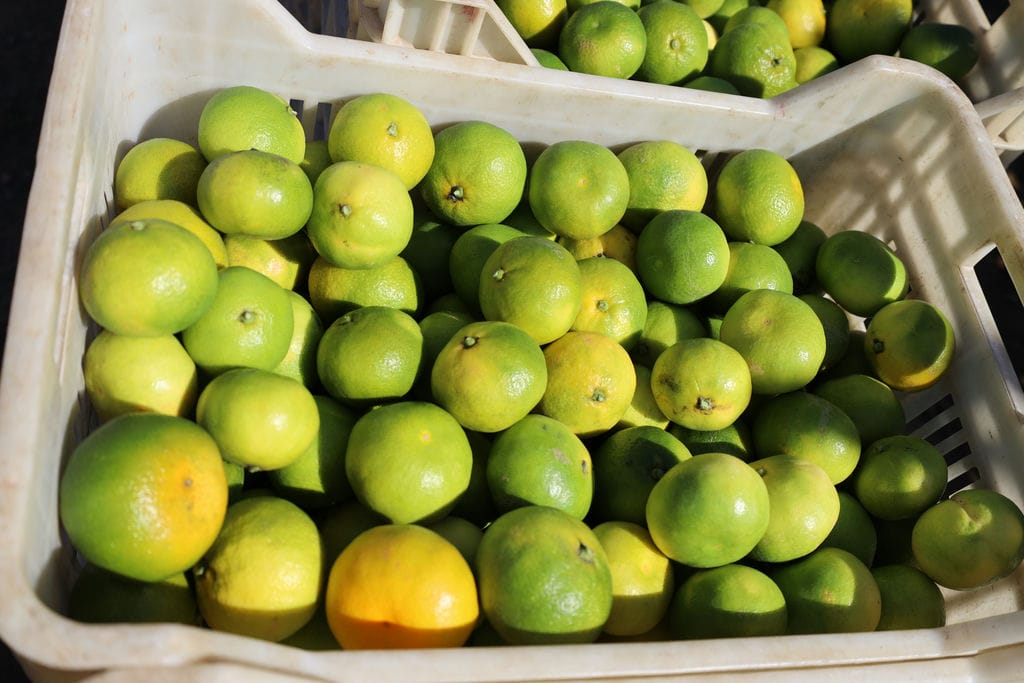 1763126429 026 A9003