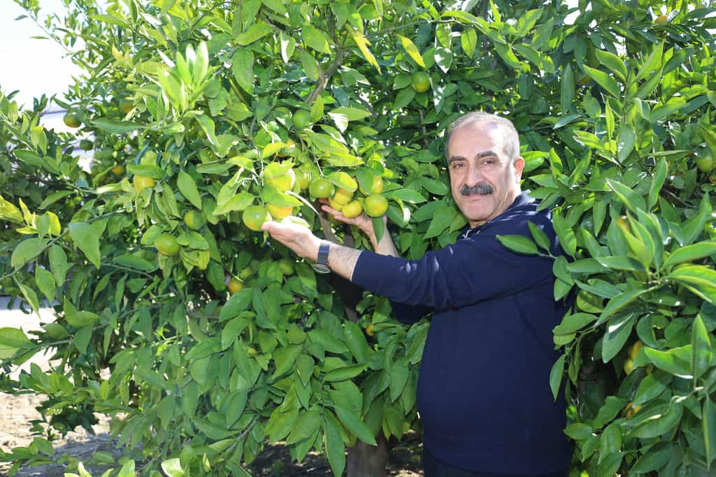 1763126435 026 A9041