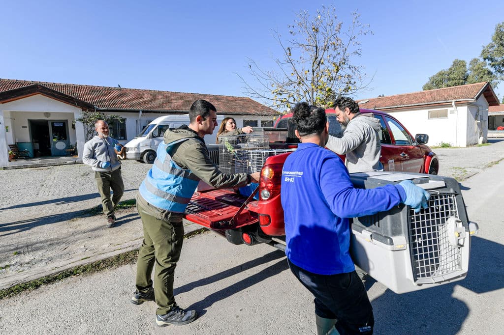 22.11.2025 04Ff4E3B 9E22 4D48 9A02 588Df9528Ed7