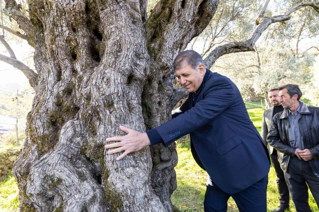 27.11.2025 26Dfdd9D 8738 45F3 B6F0 00F2B6402072