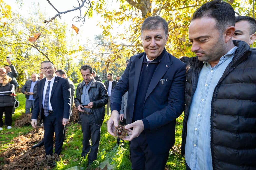 27.11.2025 404579Dc 557B 4892 Aa74 774E14C384B4