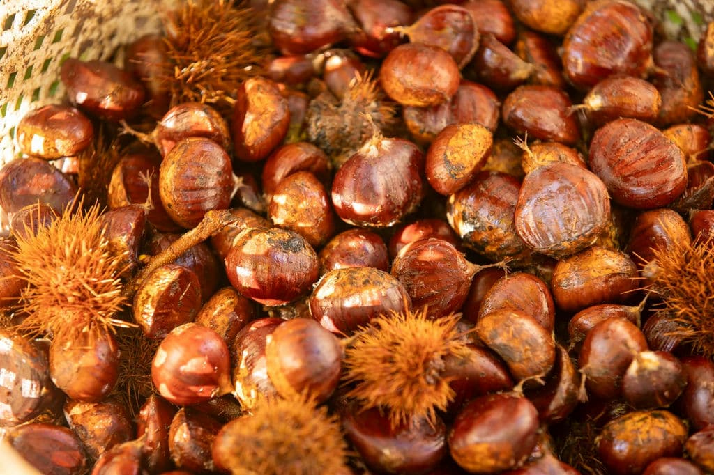 27.11.2025 97D523Db Fd8E 4D58 Bfd1 576E3Ac2Dcbe