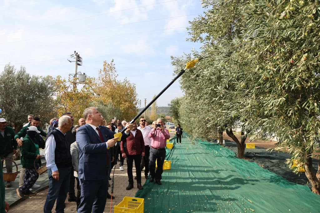 Urla'da Üç Gün Boyunca Zeytin Ve Sanat Konuşuldu (1 2)