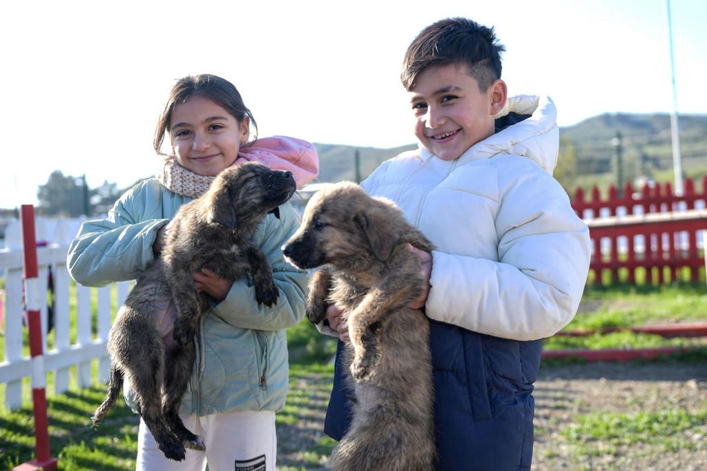 10.12.2025 9650B721 Ef96 4113 8605 89411Ee6B2B3