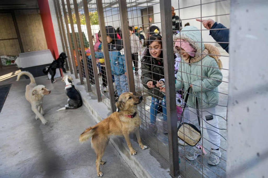 10.12.2025 9B14F056 1901 41C1 Acfa F5878628B85D