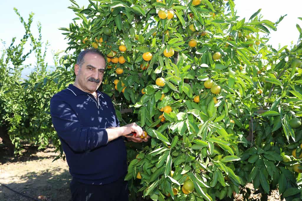 1765962278 026 A9245