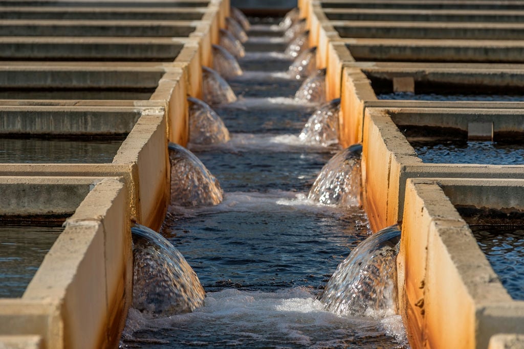 26.12.2025 73580850 Be97 4Be0 9367 5E7E5Faad339