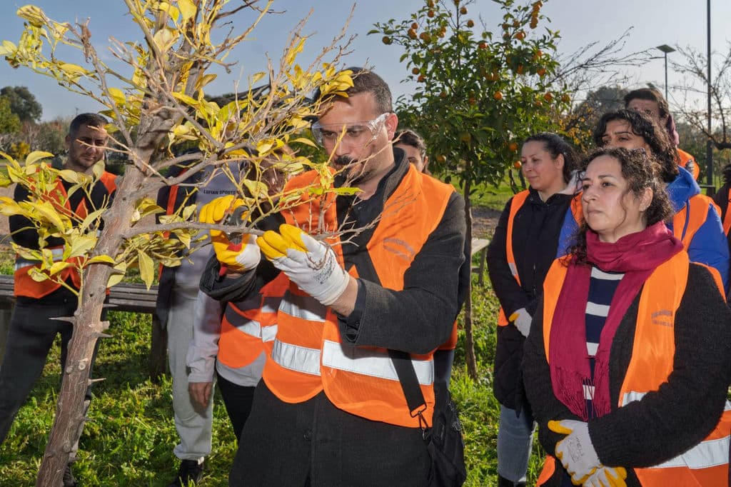 29.12.2025 316A6Af2 A1Bc 4082 846F C8Eebc2Bed80