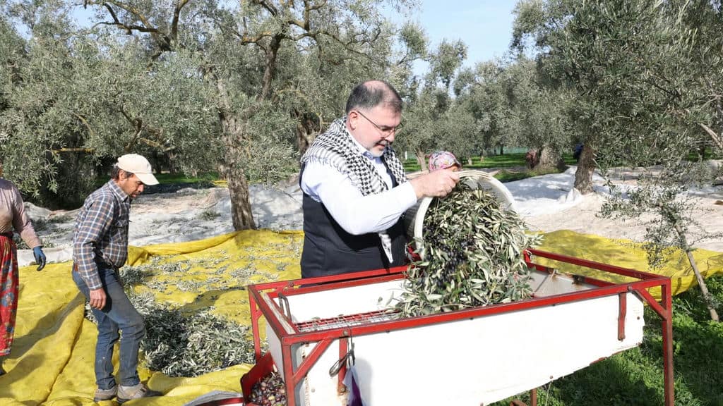 Whatsapp Image 2025 12 11 At 09.04.50 (2)