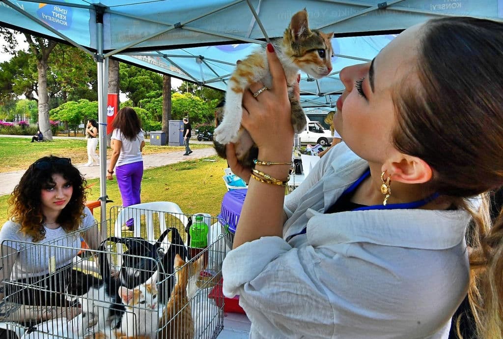 5.01.2026 22Caa37C Ca09 484F 9E5B 7Ca02Be3Fc4D