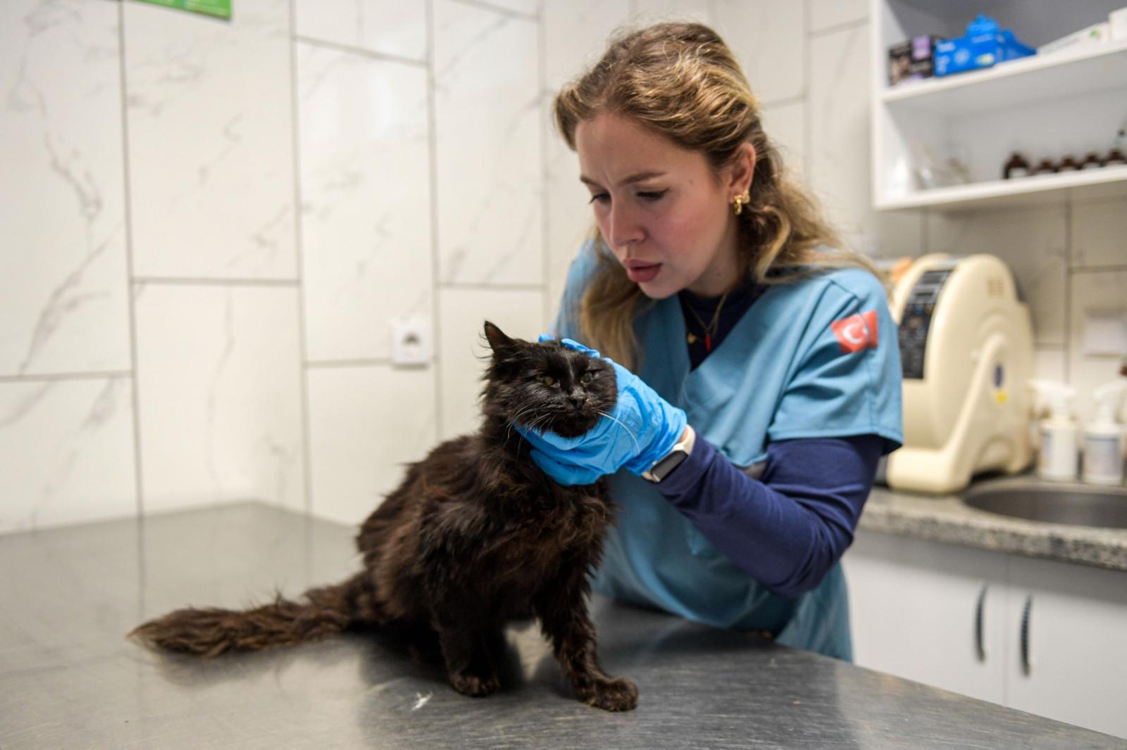 5.01.2026 A1F2E307 89C4 4970 89D6 906A71932Af6