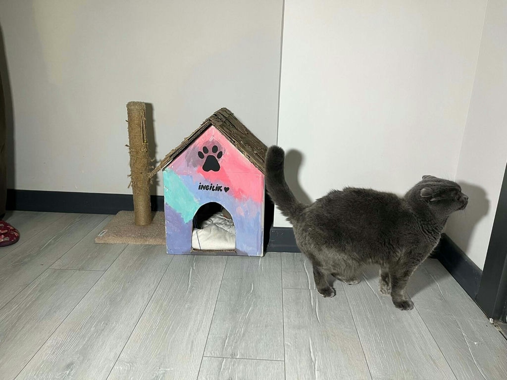 B U A I L E D E U C K U S A K T I R A T I K L A R O Y U N C A G A D 1137797 337790