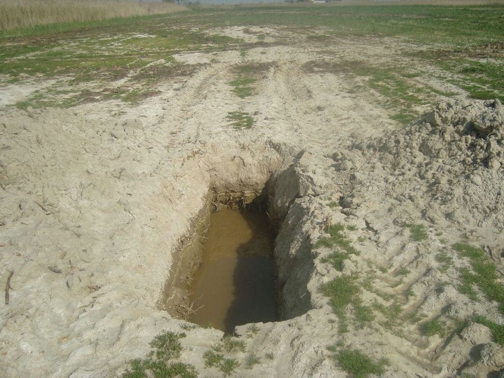 D O G R U Y O N E T E M E Z S E K K U L L A N A B I L E C E K S U Y U M 1112334 330194