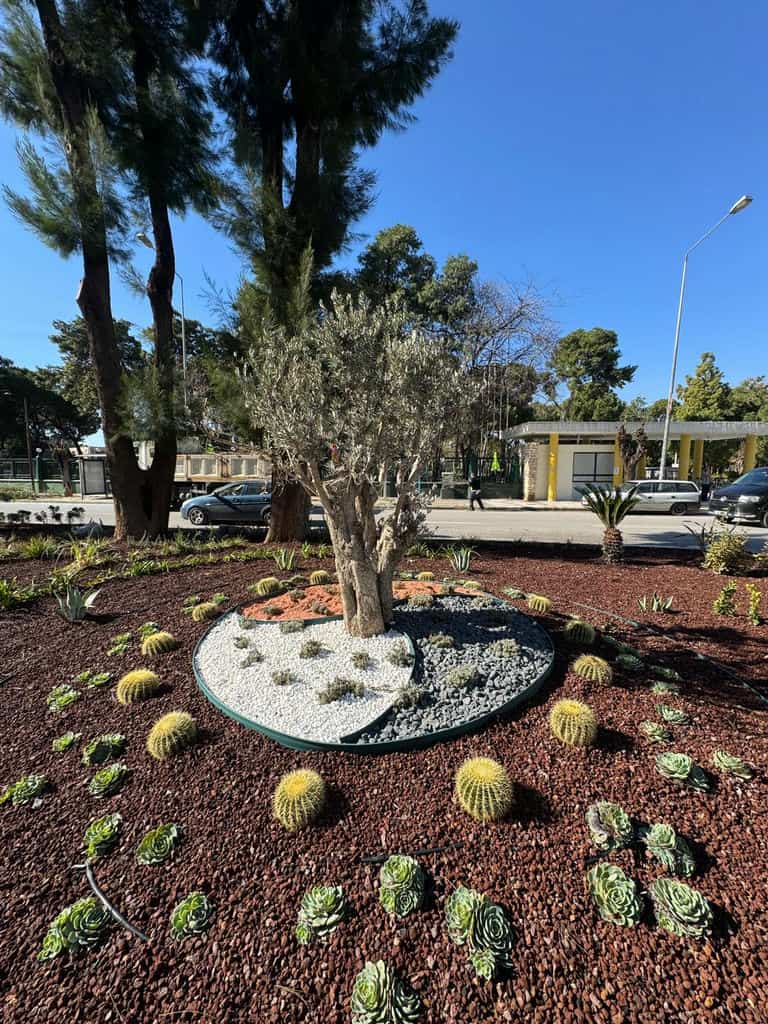 20.02.2026 Cea2Abd7 82B2 44D5 Be08 F25Be2659B0D