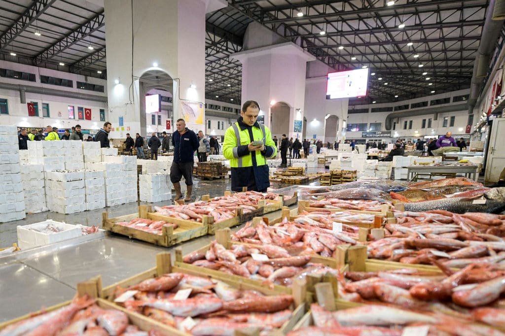 5.02.2026 04898Bc5 B3Ee 4669 9150 Ea9200B6E379