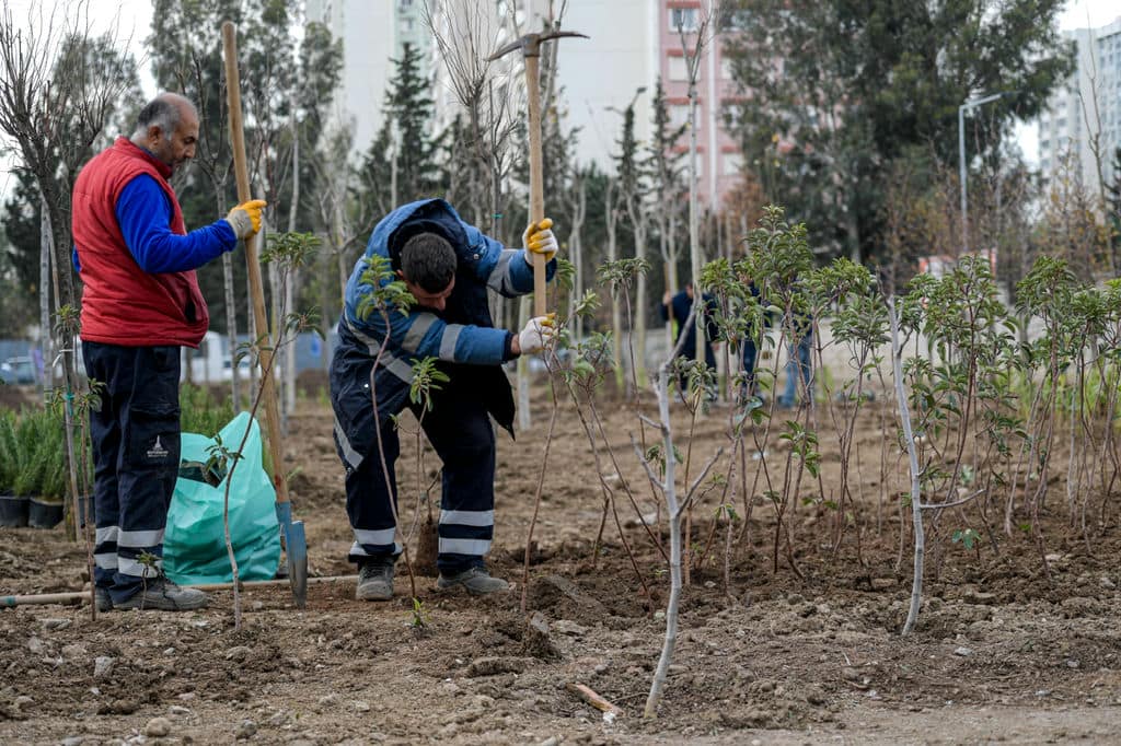 5.02.2026 1C2F276F 19E4 4794 8449 19F9F8C0A25C