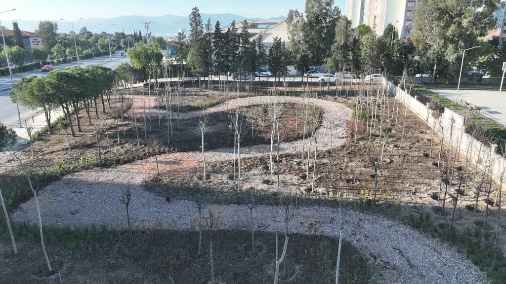 5.02.2026 54F786D4 Bef4 48F0 A29A 7E46B7Ac7Dc2