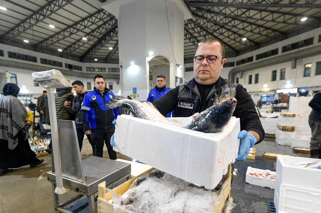 5.02.2026 Db7Ba700 A68C 4E58 Abb0 51Aabcc3365B