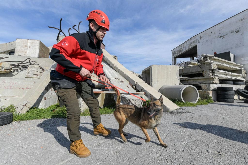 9.02.2026 A4E72A1E 0F70 4986 A2E1 Cc9D415Cb993