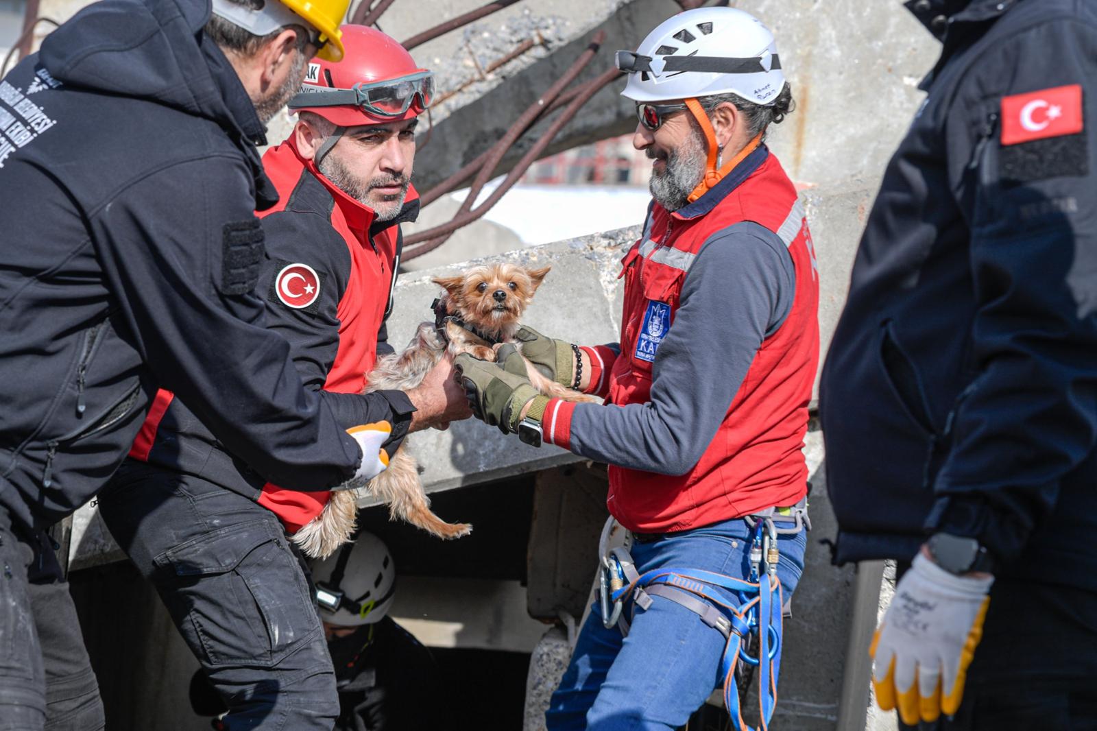 9.02.2026 Efc971C4 6Ac0 4425 971F B0Bc5A431054