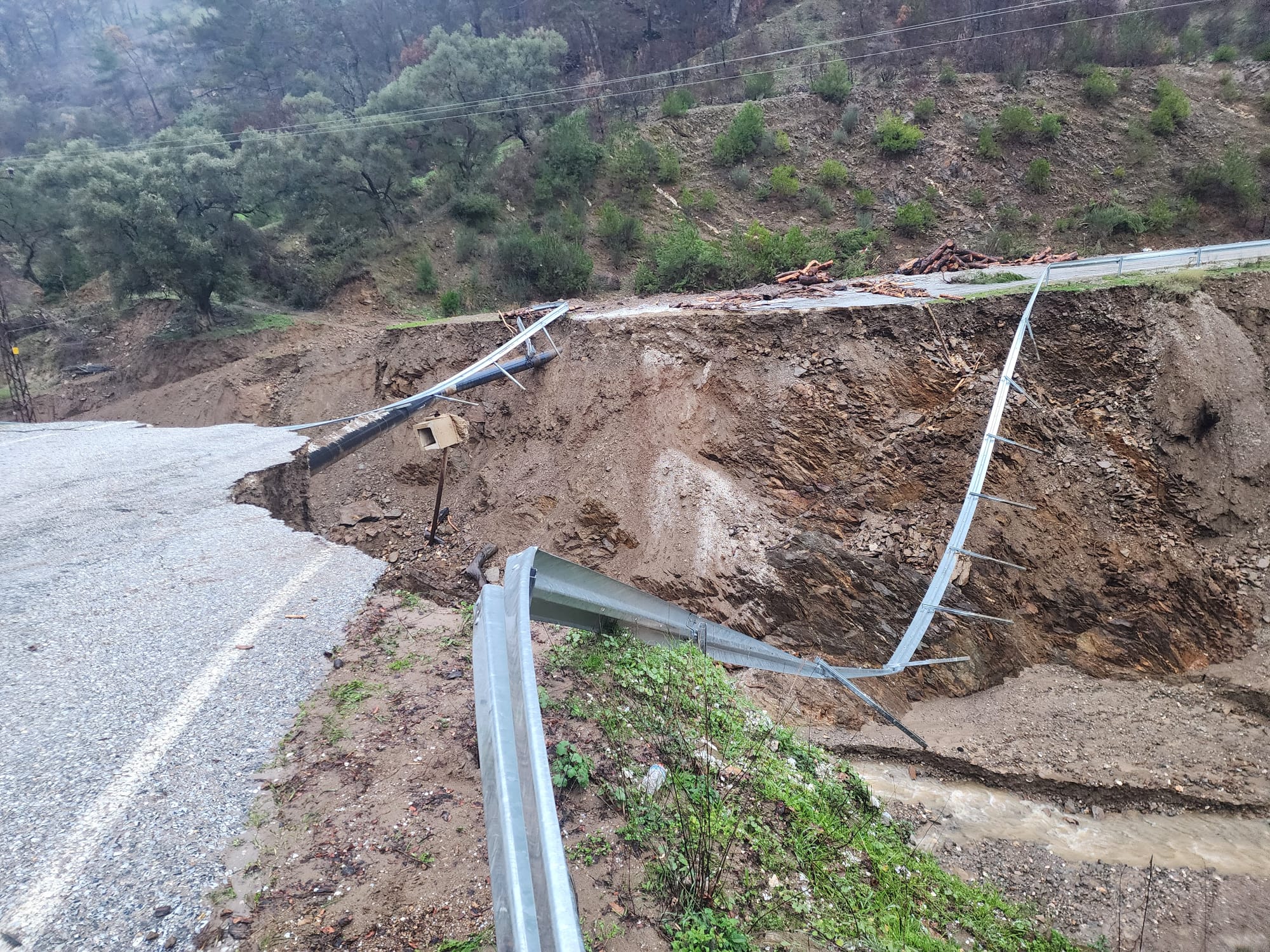 Whatsapp Image 2026 02 22 At 15.43.14