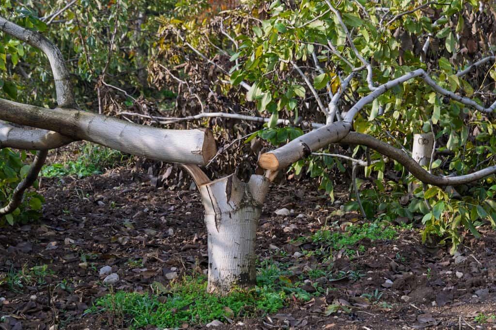 13.03.2026 18Cb6F0C 8D27 42Fb B4Ab 298Eb3525229