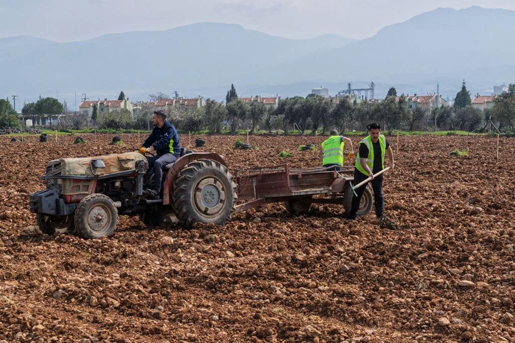 13.03.2026 99908491 3C7C 4137 B42C 6620C2B8Ef96