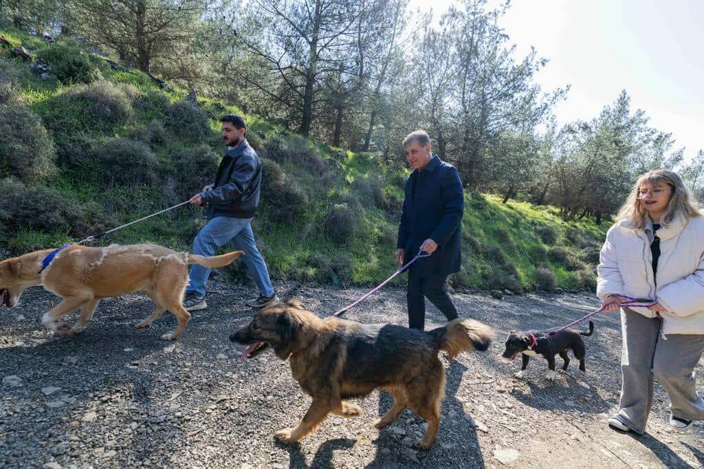 2.03.2026 96Db077D E85A 479B 9A68 C4D9A48A3Bda