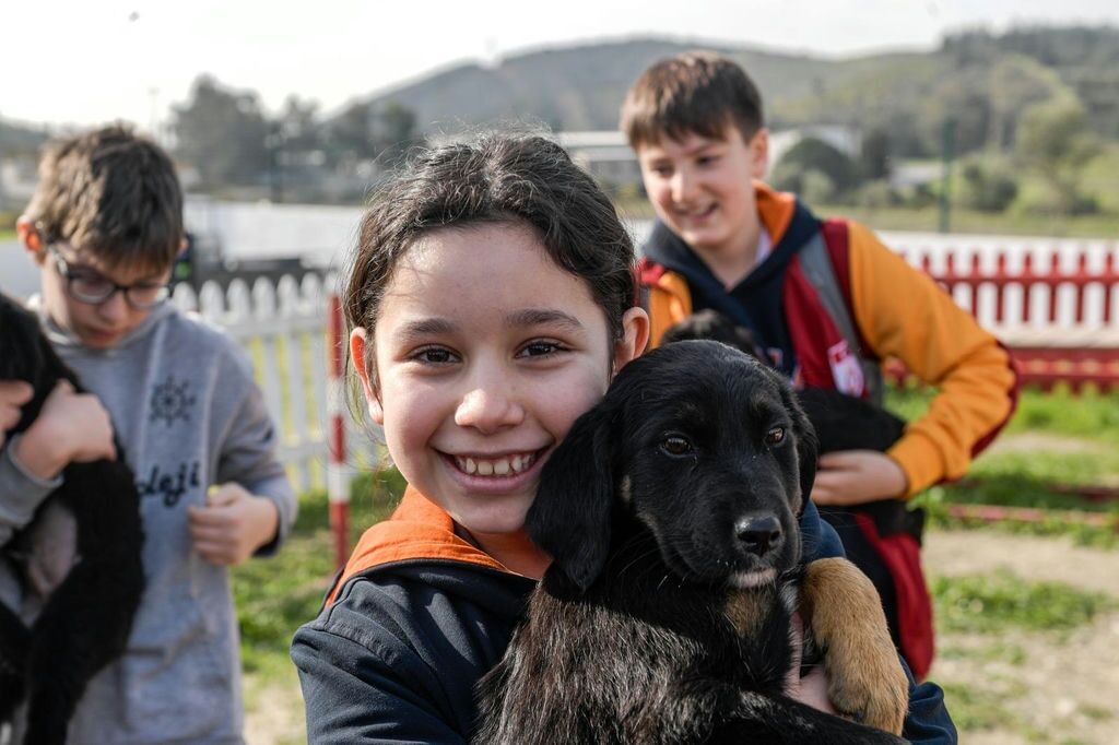 24.03.2026 33236Ec4 63D2 46C7 987C 85D226159958