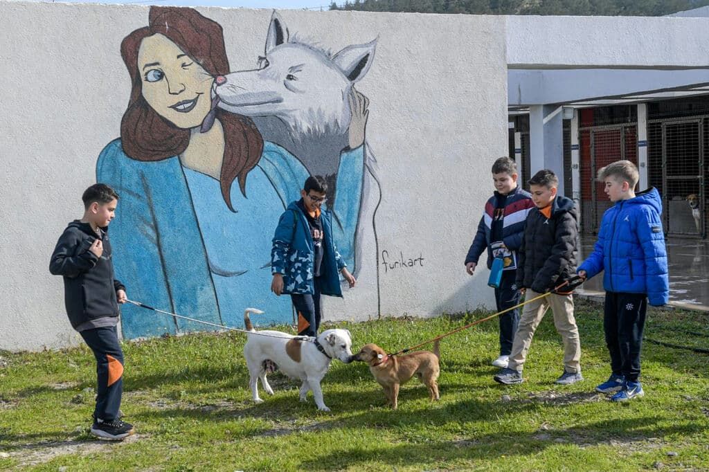 24.03.2026 B7D898Fb 2562 467C Aa66 69243Dfd3626