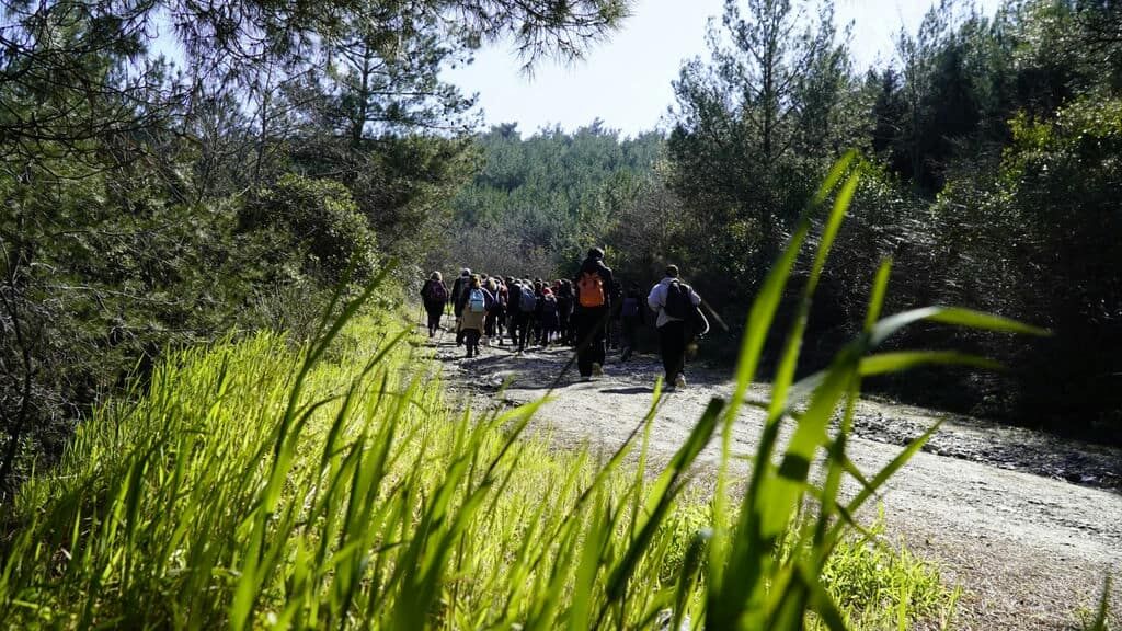 3.03.2026 70955589 C053 4Dad Ad87 8F9Bd42F8E75