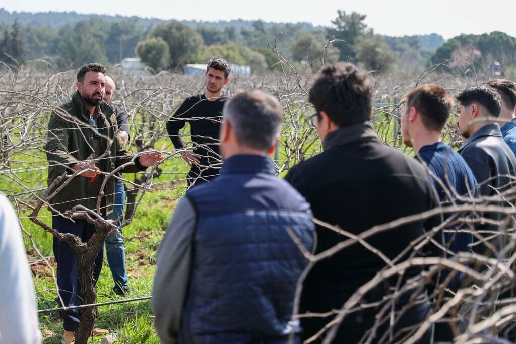 Buca Uzum Budama (23)