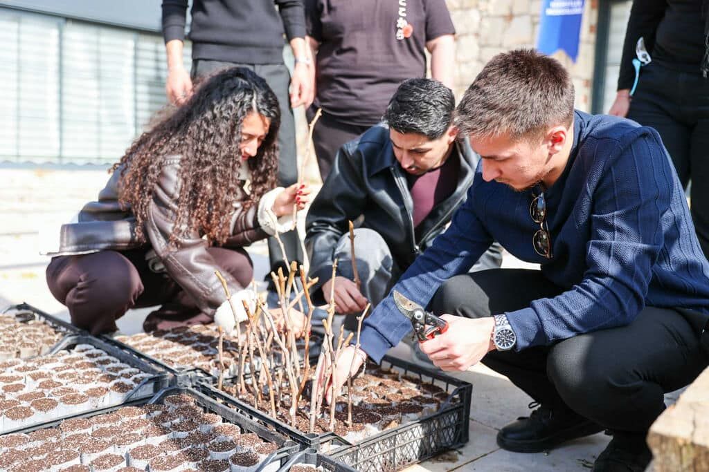 Buca Uzum Budama (28)