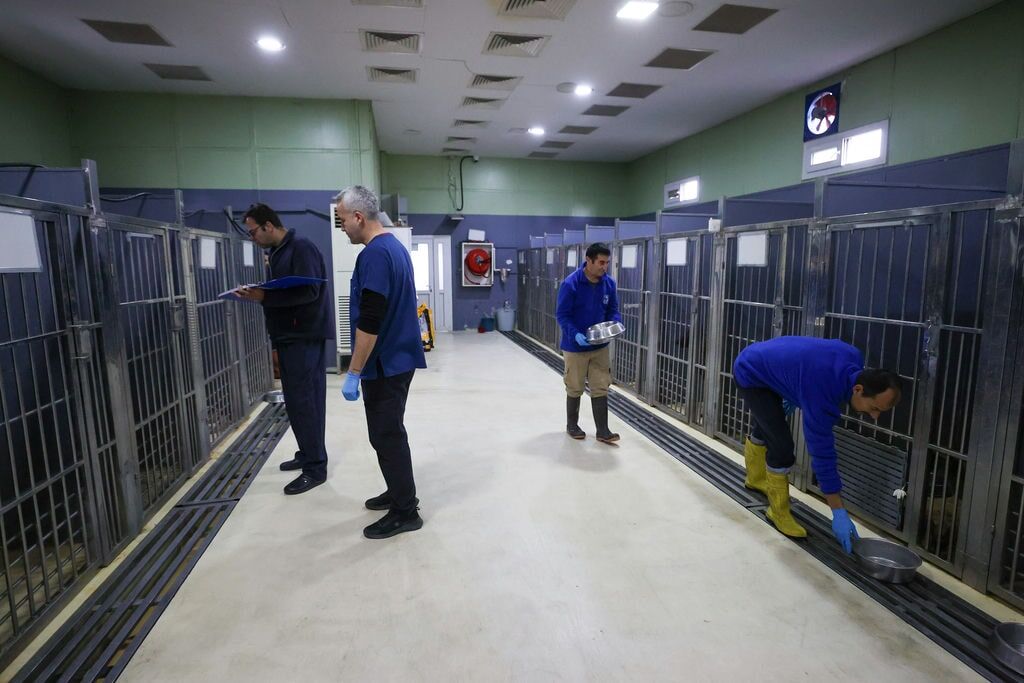 Buca Veteriner Temizlik2