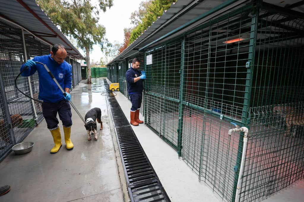 Buca Veteriner Temizlik4