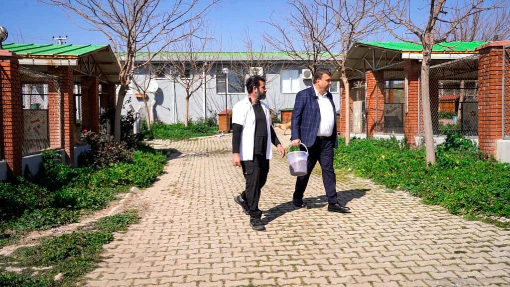 I M G 20260316 W A0001