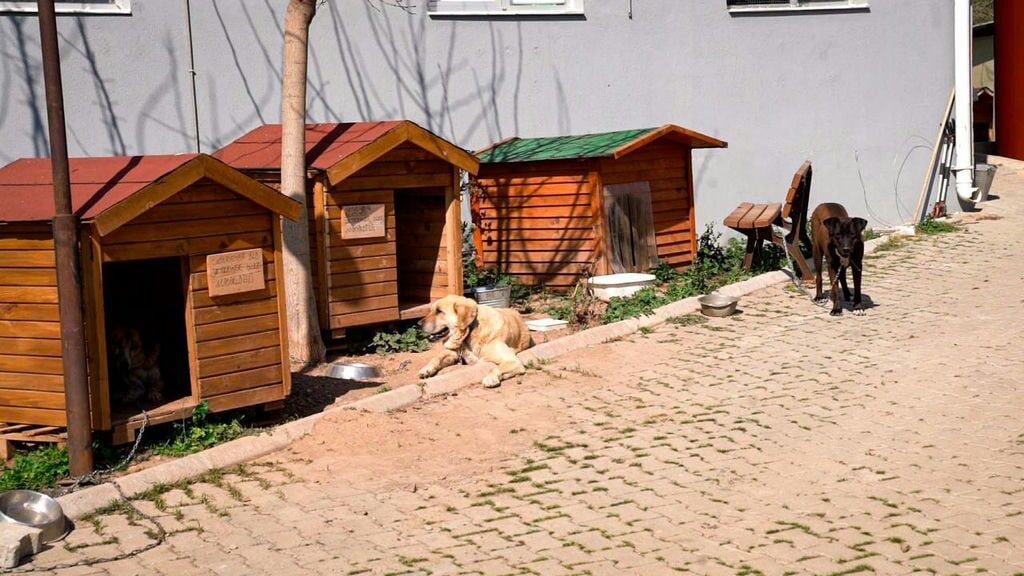 I M G 20260316 W A0003