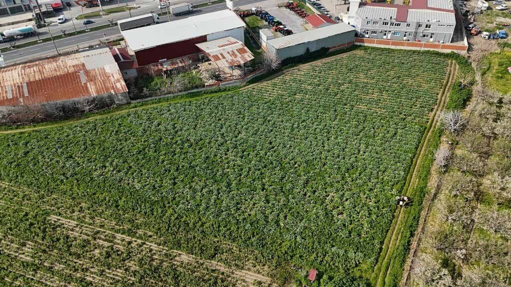 I Z M I R M E N E M E N’ D E E N G I N A R H A S A D I B A S L A D I 1195143 355344