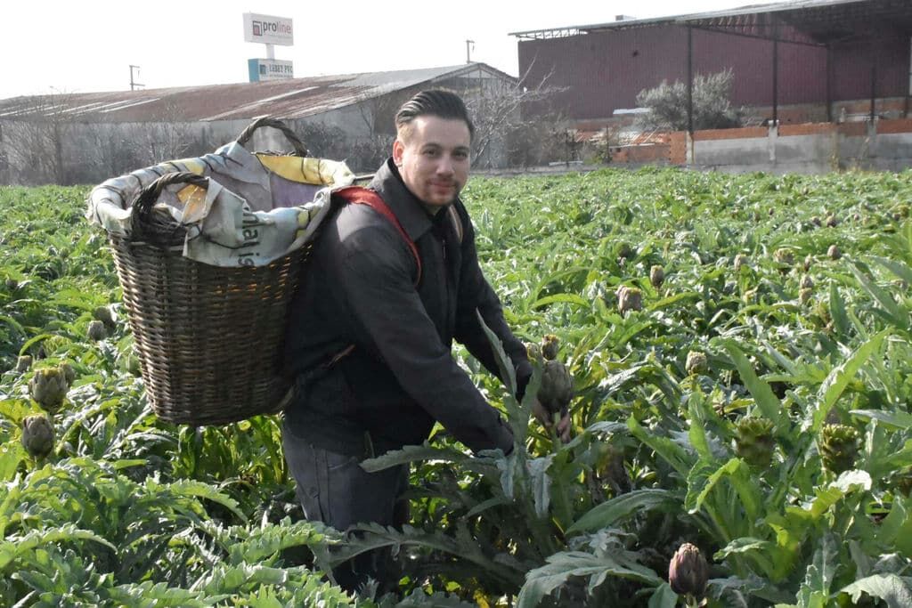 I Z M I R M E N E M E N’ D E E N G I N A R H A S A D I B A S L A D I 1195145 355344