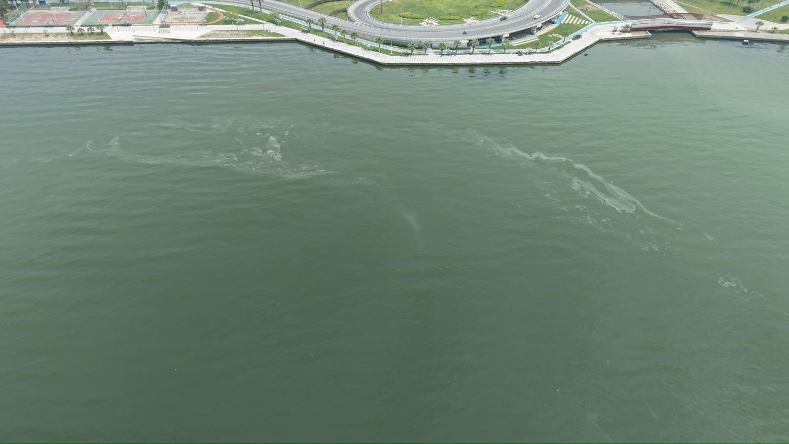 14.04.2026 1A15A71E 8E94 48C9 9Eeb C08C7A2515F8