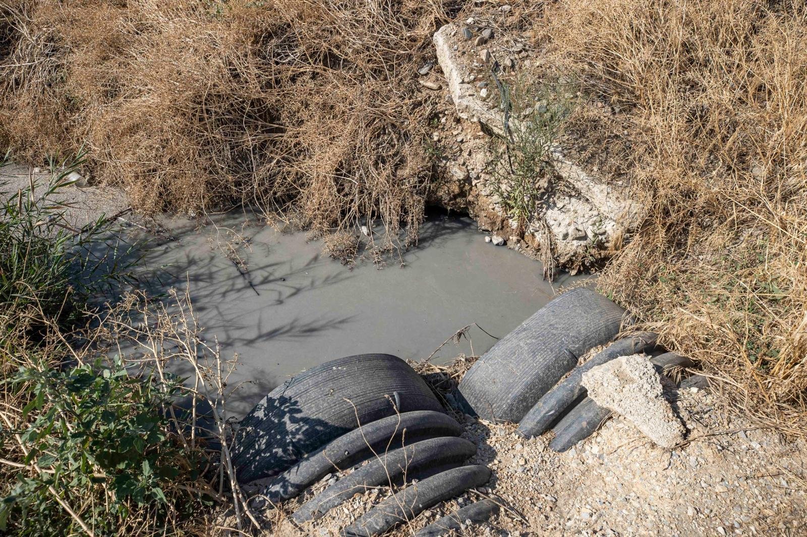 19.04.2026 9B5D5359 D1D2 49E4 833C F553F6A2F945