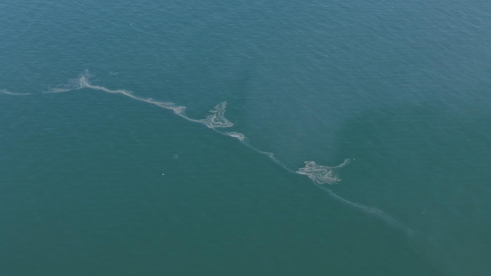 21.04.2026 D8D47306 2941 49Fe A6Ba 6382B58E2834