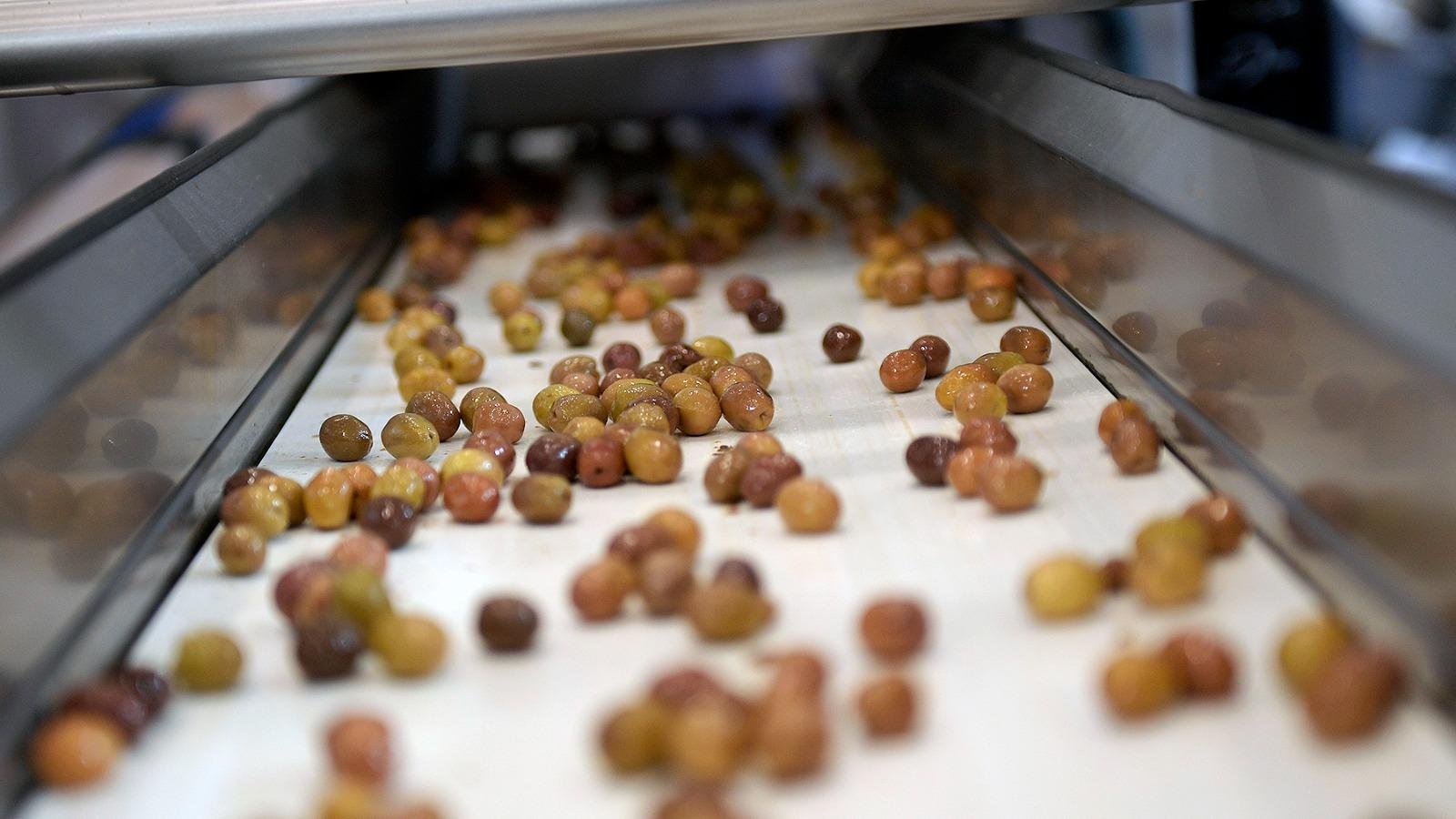 27.04.2026 E1D6C67B Bd49 42A3 9E24 660A4F151339