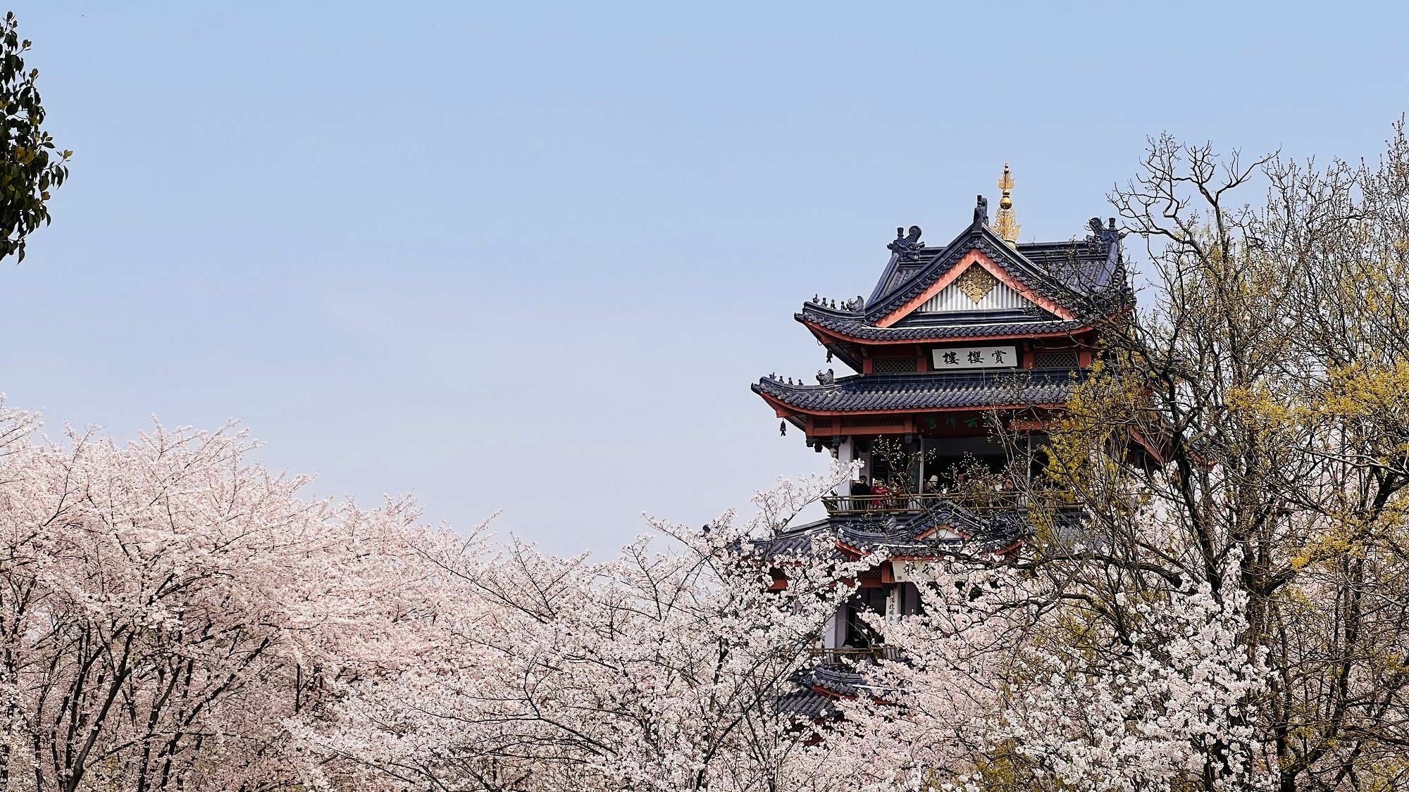 3. Çocukların Gözünden Şehir