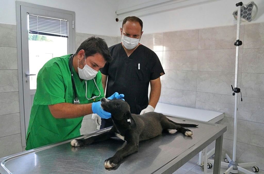 4.04.2026 4F674574 Da61 4E61 968B F0023Da9035F