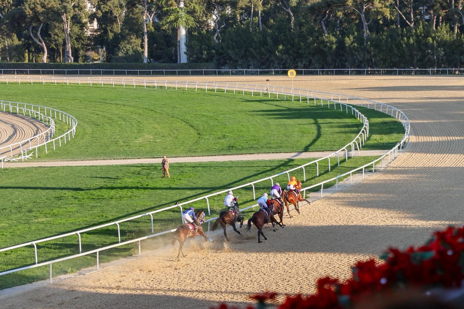 Buca Belediye Koşusu