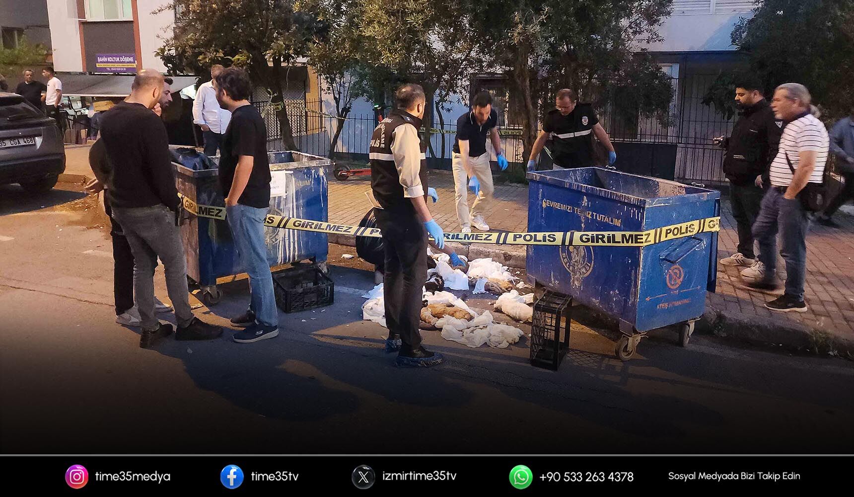 Buca’da konteynerde bulunan hayvan ölüleri inceleniyor