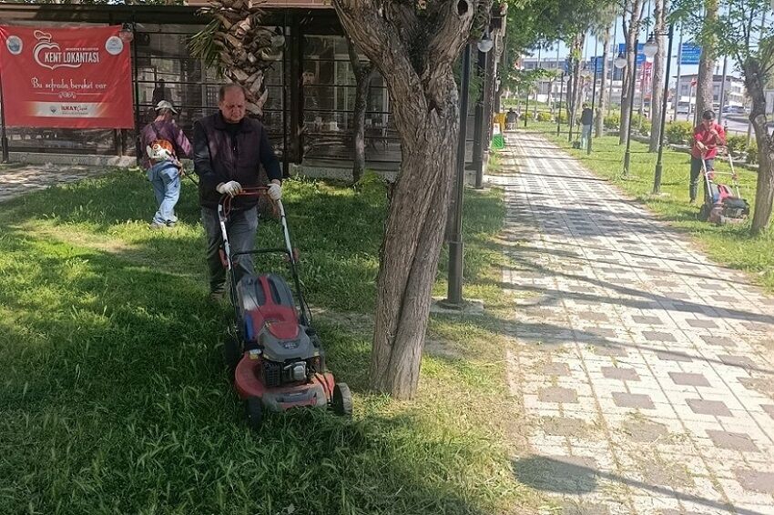 Ot Biçme (1)