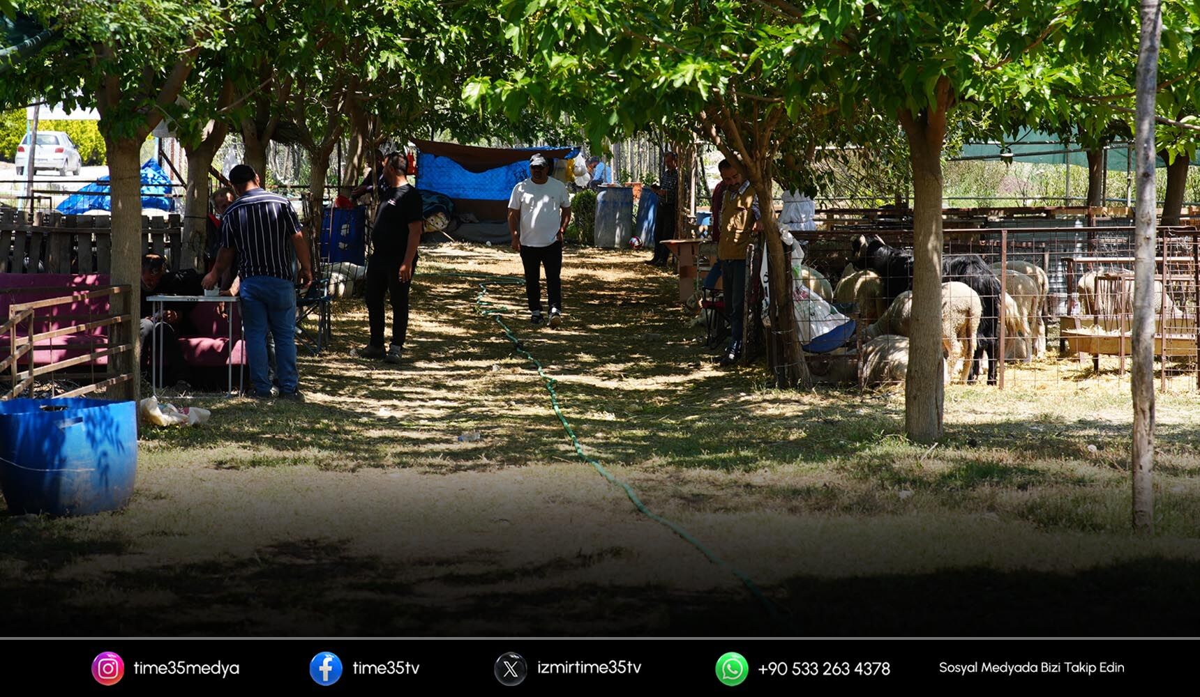 Seferihisar’da kurban bağışları ihtiyaç sahiplerine ulaşacak